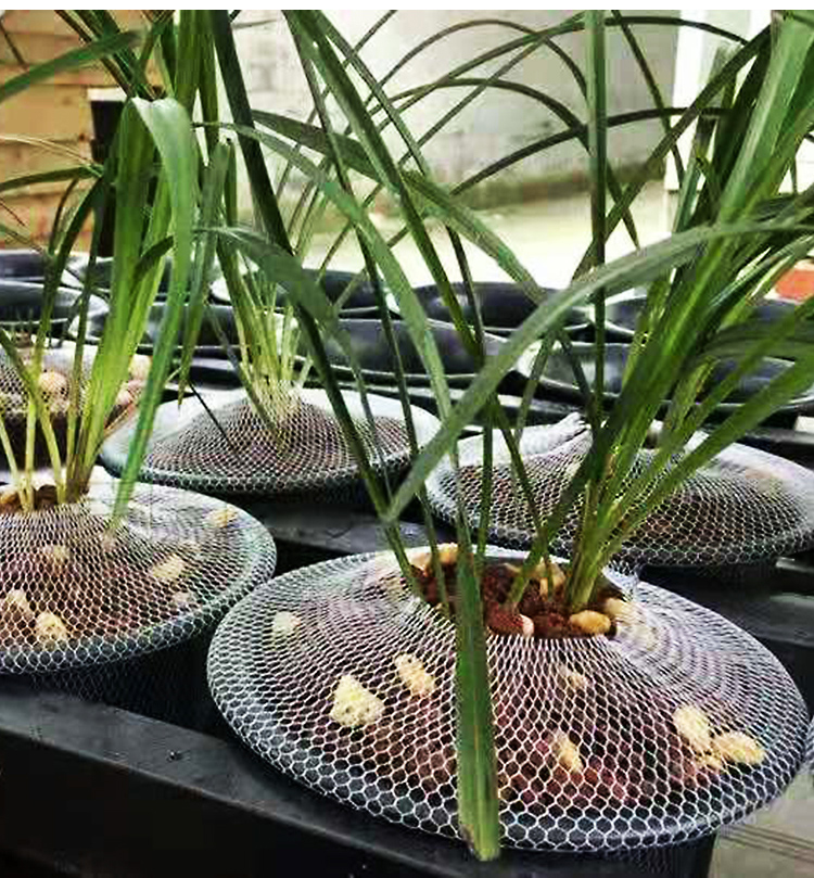 兰花盆网罩网套套网植料防漏网高弹性塑料紫砂陶瓷花盆防护网兰草