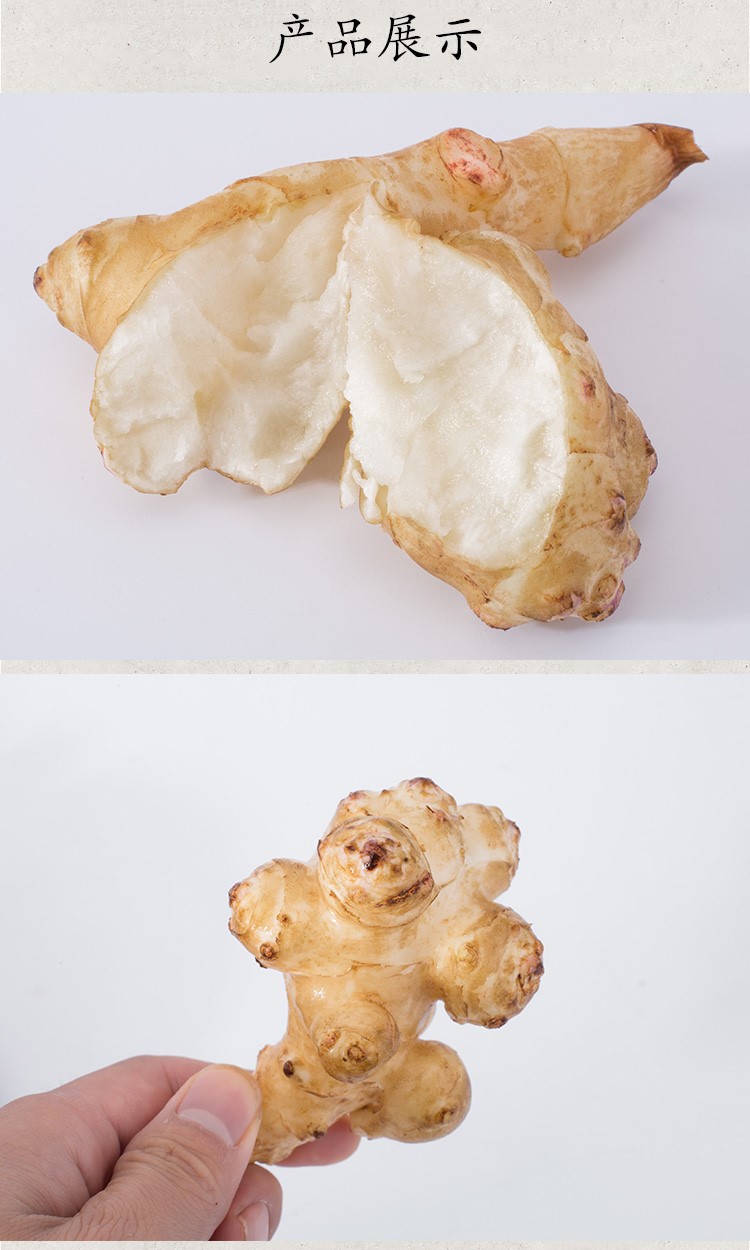 2022年野洋姜5斤10斤新鲜现挖野鬼子姜不辣农家蔬菜酱腌菜生菊芋5000g