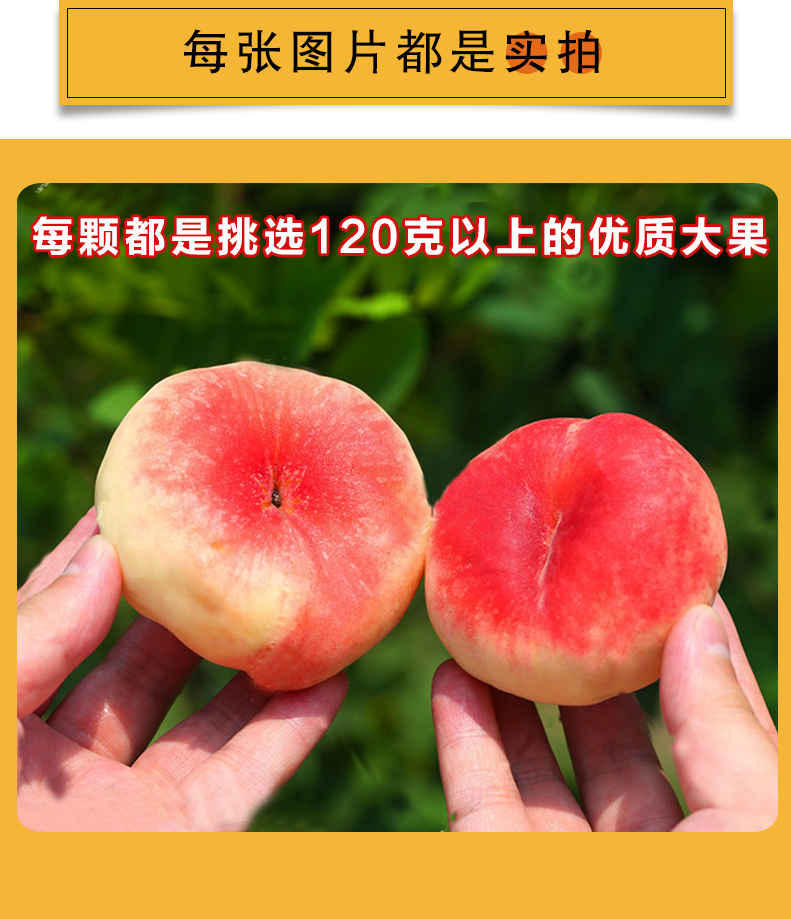 顺丰空运新疆蟠桃新鲜桃子5斤和静白蟠桃新疆桃子3斤精品果顺丰空运