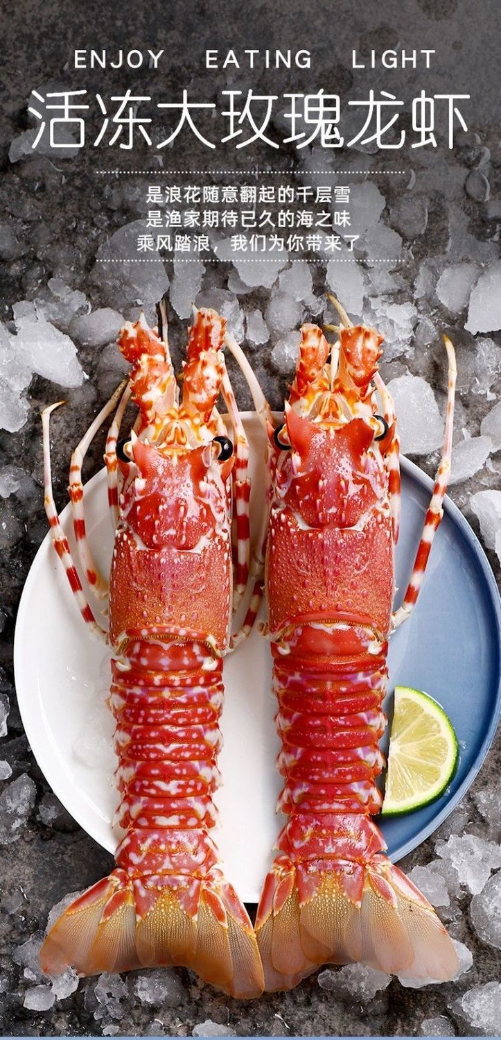 6只玫瑰龙超大莫桑比克小青龙虾红波龙刺身新鲜冻品黑金鲍600800g只1