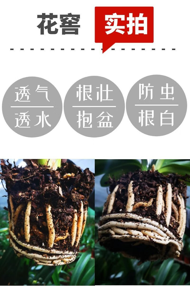 君子兰专用土腐叶土有机营养土土橡树叶腐熟树叶顾致装【不含粗粒河沙