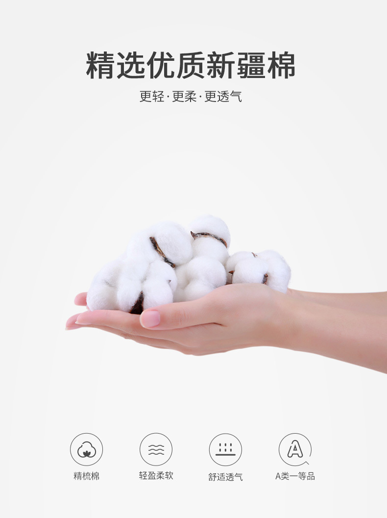3102d3117caefd3b.jpg