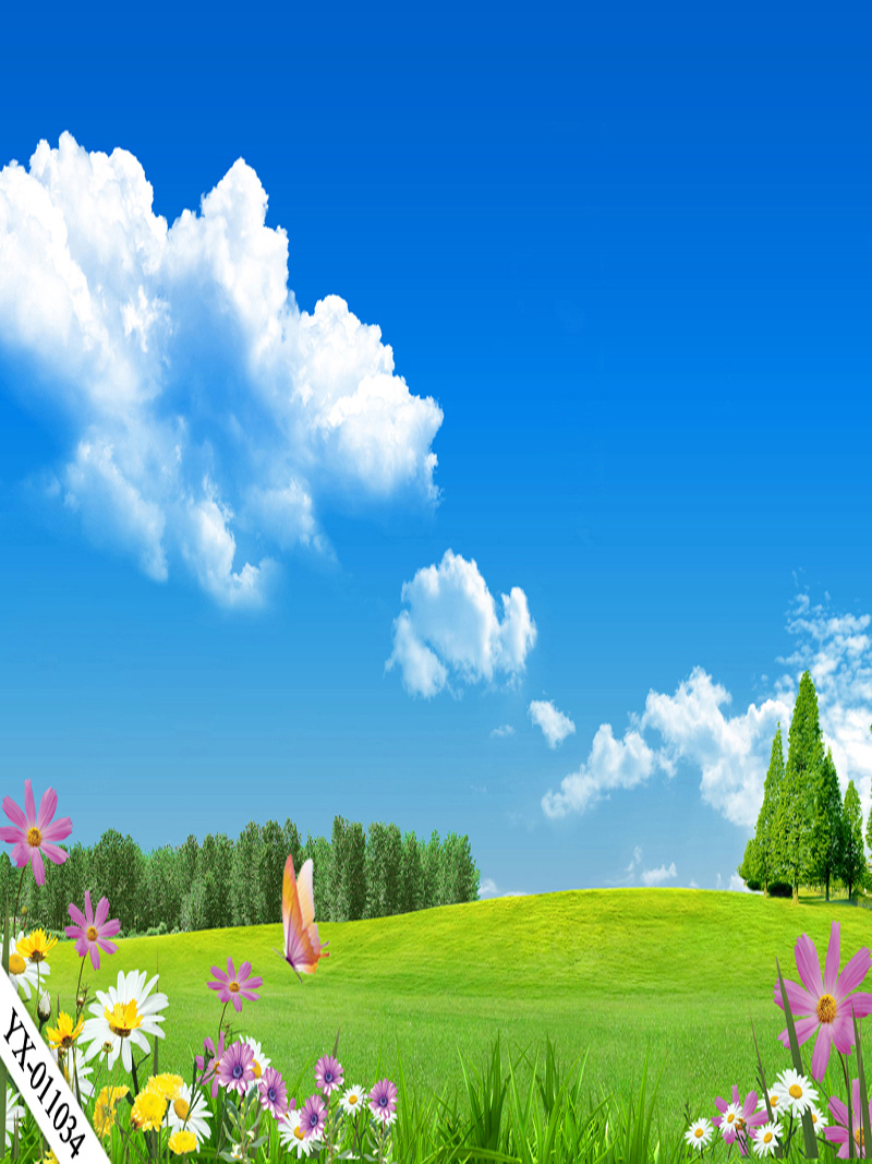 直播背景布3d立体直播间装饰主播竹林山水田园外景快手网红背景墙