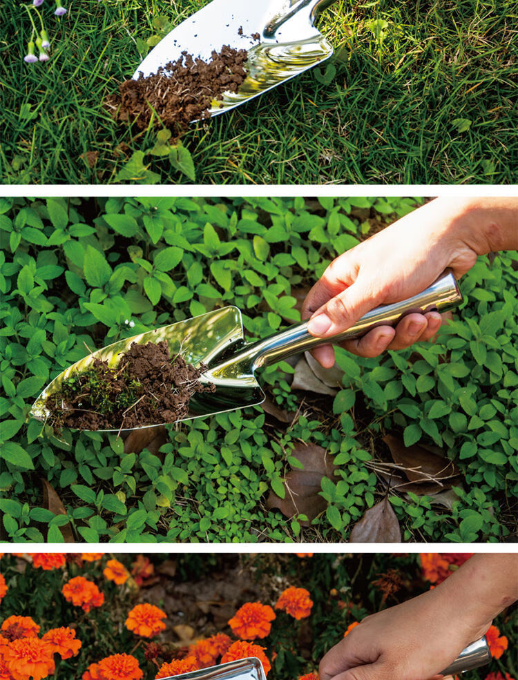 花盆新年上新种花工具盆栽小铲子养花园林三件套家用