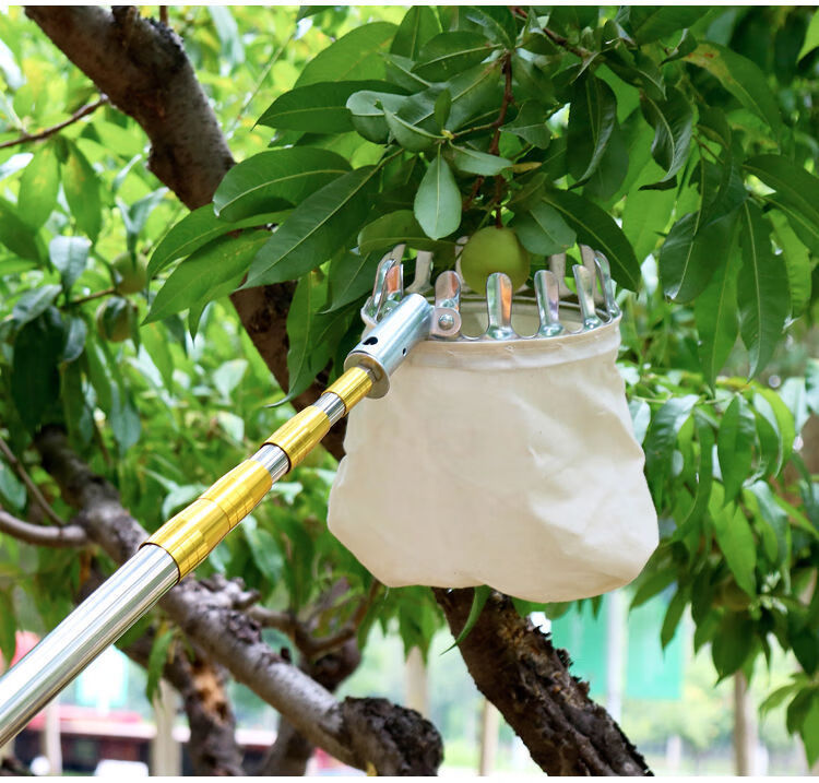 不锈钢摘果器采摘神器多功能伸缩杆高空采果器摘各种水果槐花香椿摘头