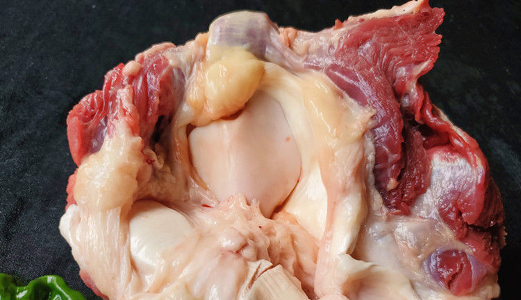 新鲜冷冻牛肉牛窝骨膝盖骨牛拐筋牛骨头带肉熬汤 补钙胶原蛋白 二斤装