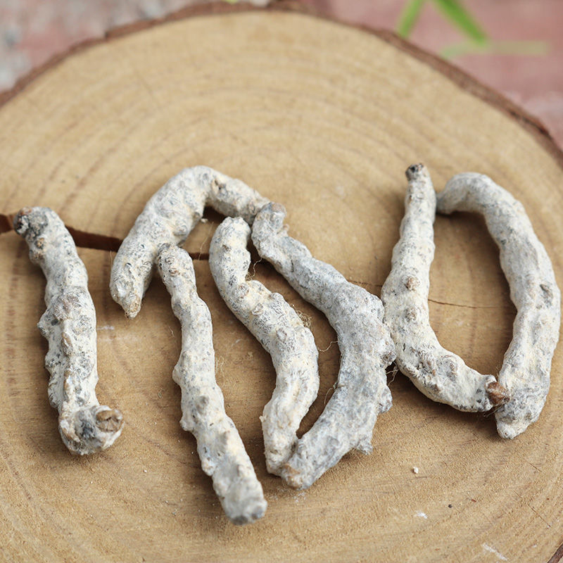 白僵蚕精选500g中药材僵蚕干僵虫天虫姜虫白僵蚕粉白僵蚕500克