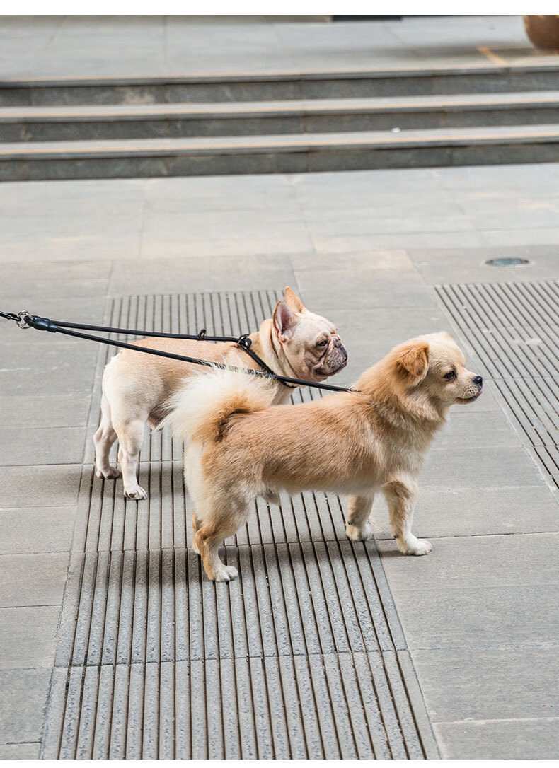 两只狗一拖二牵引绳可拆卸多头双头遛狗绳p链子泰迪金毛小大型犬牵狗