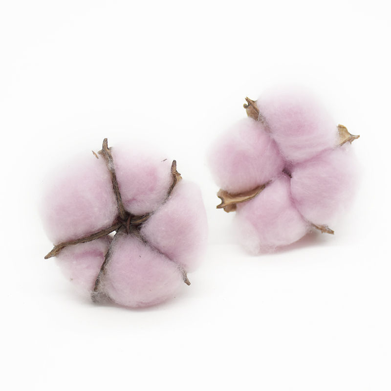 棉花天然干花仿真花家居装饰婚庆手捧花墙植物墙假花 桃红 5个