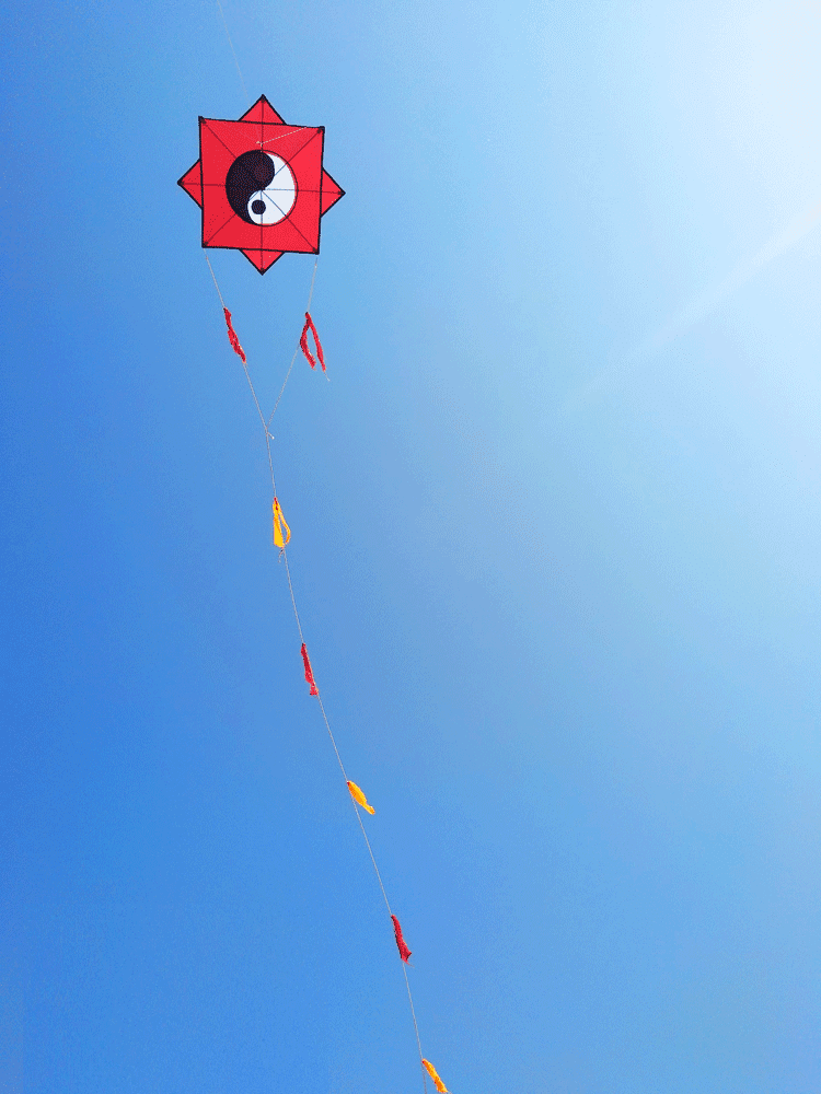 太极八卦风筝大型成人伞布树脂杆抗大风飘尾线轮套餐仅15米格子布八卦