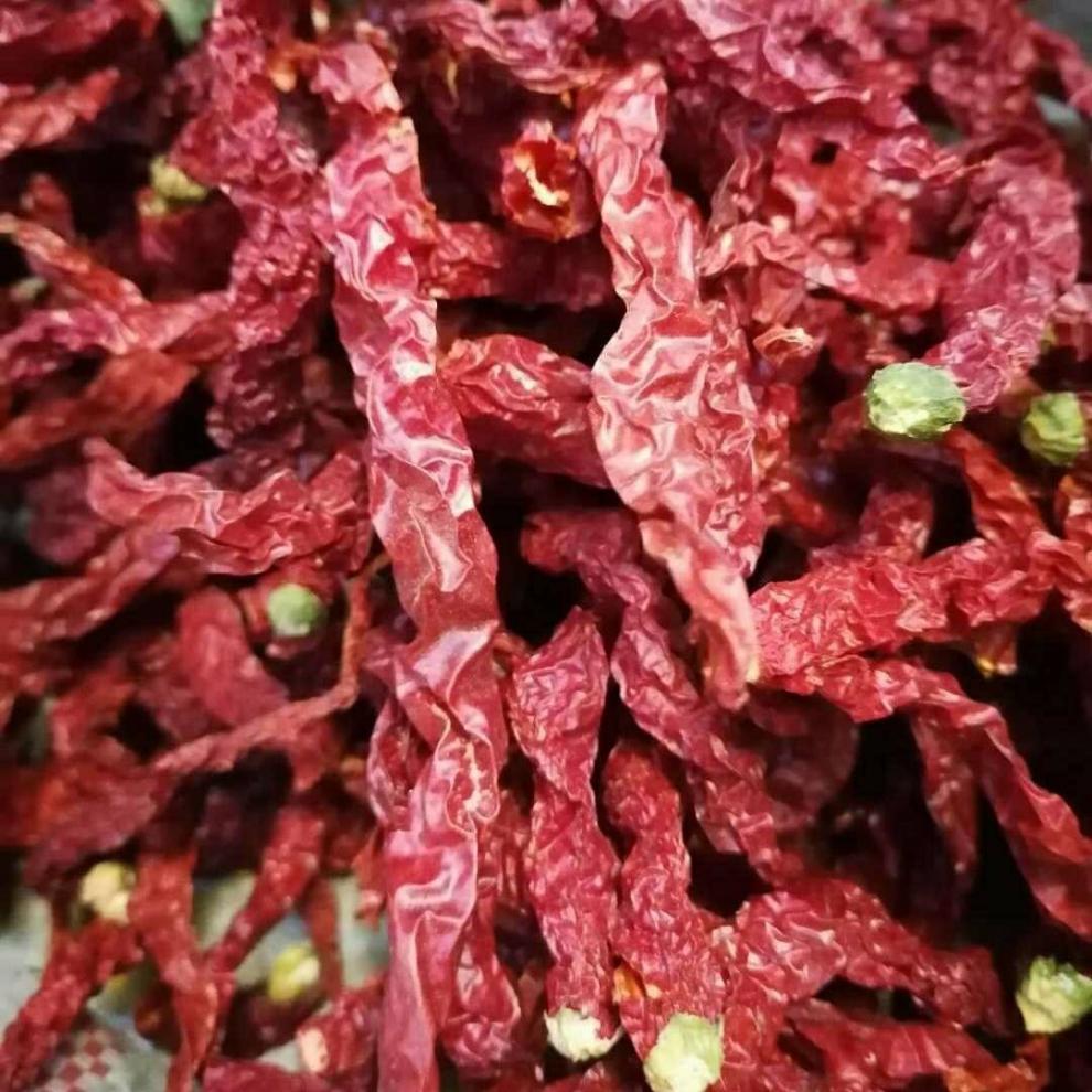 带把二荆条干辣椒微辣250g贵州特产辣椒辣椒不辣超香二荆条辣椒 3斤装