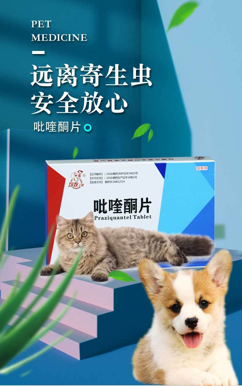 ye)兽药宠物药吡喹酮片吸血虫病犬泰迪猫用体内驱虫药猫咪幼猫打虫药