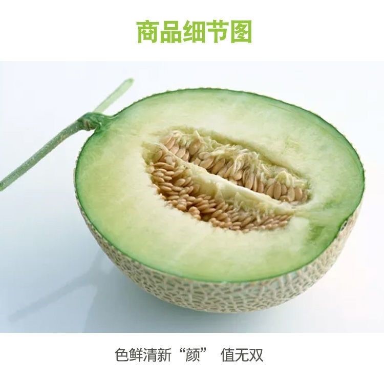 新疆巴楚留香瓜极限挑战同款绿瓤新鲜软甜糯网纹瓜哈密瓜蜜瓜 7斤