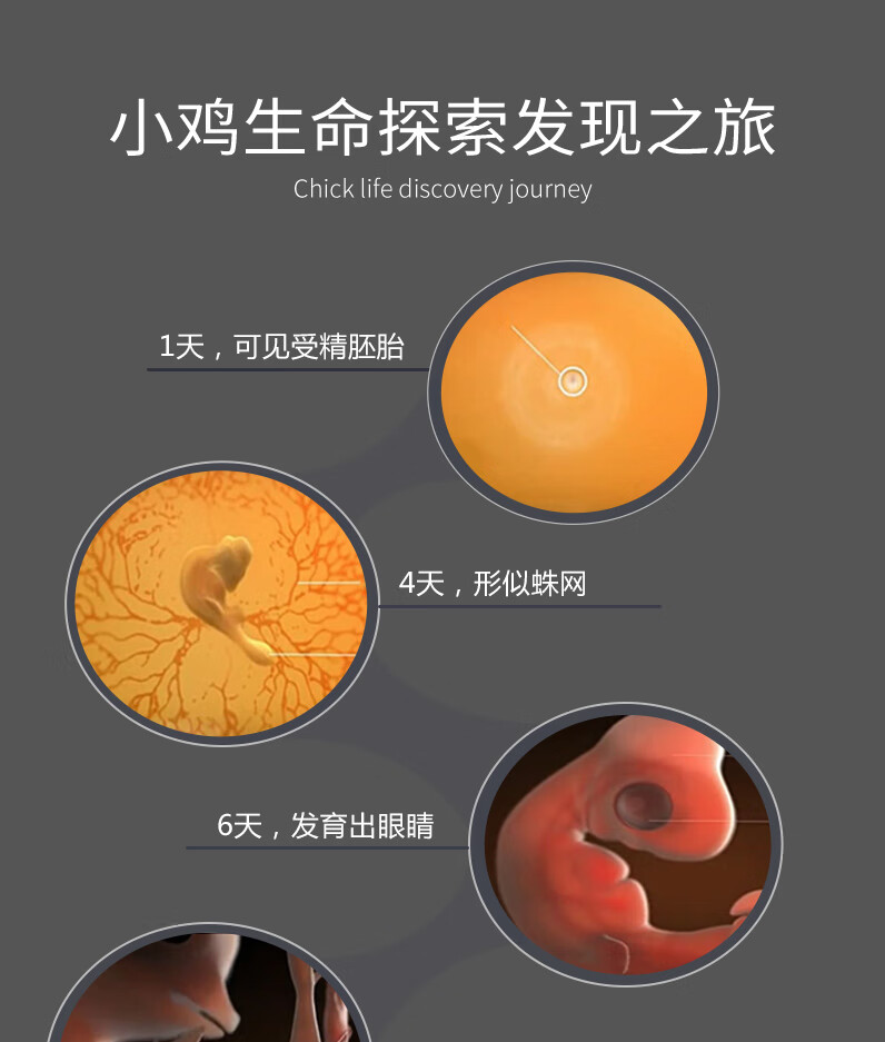 暖立方小鸡孵化器全自动智能小型孵化机孵蛋器孵化箱鸡鸭鹅家用型22枚