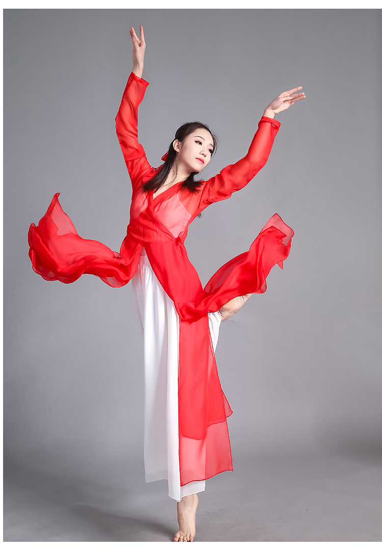中国舞舞蹈服纱衣成人古典舞练功服女雪纺中国古风纱衣形体双层飘逸