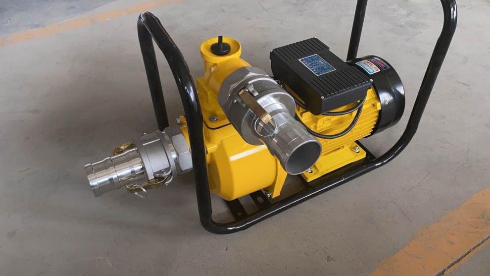 电动导油泵220v小型抽油器自吸抽柴油泵大流量油罐车卸油泵 铜芯3.