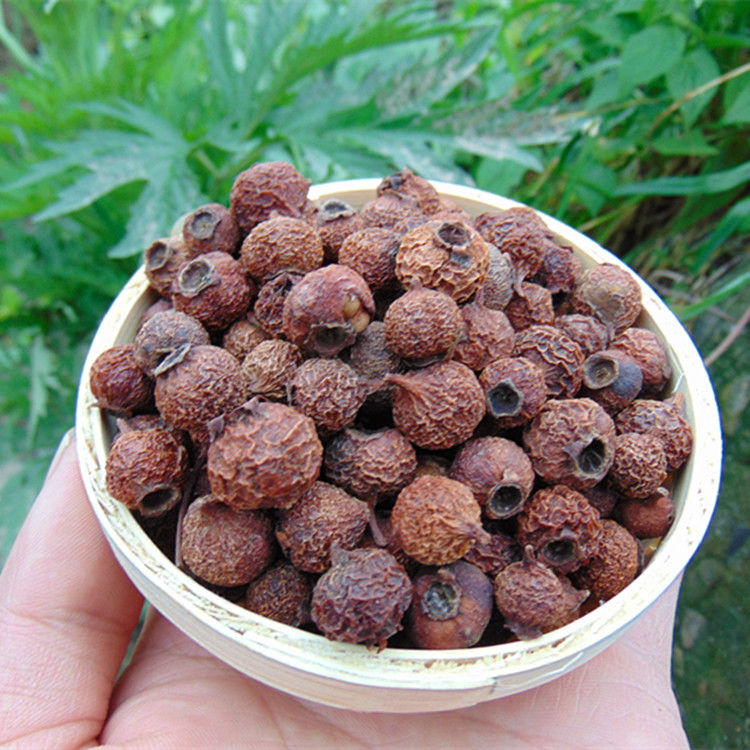 大别山野生小山楂野山楂南山楂山里红山楂豆500克开胃一斤