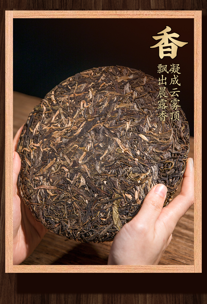 5折 7饼整提购2499g 茶滋味普洱茶老班章银芽古树生茶云南七子饼茶叶