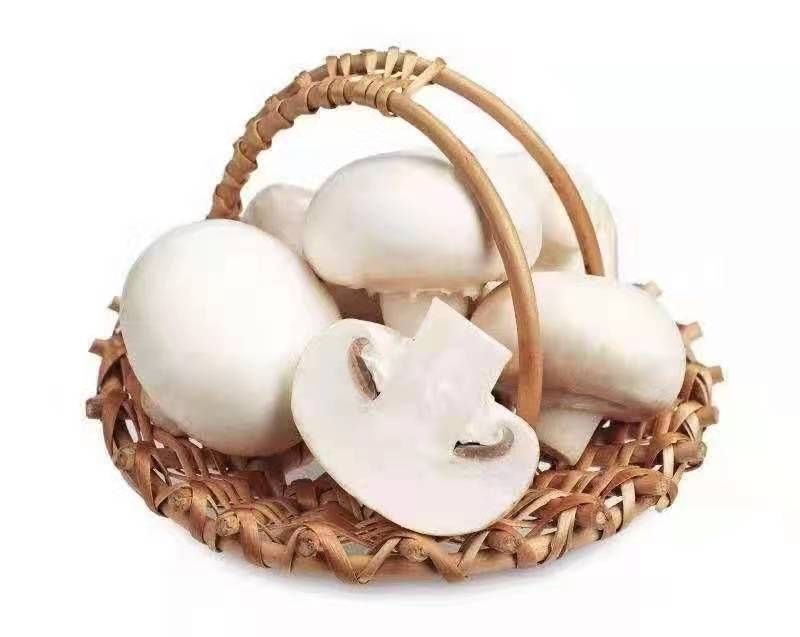 京选新鲜口蘑白蘑菇双孢菇批发食用无公害营养火锅烧烤食材时令蔬菜