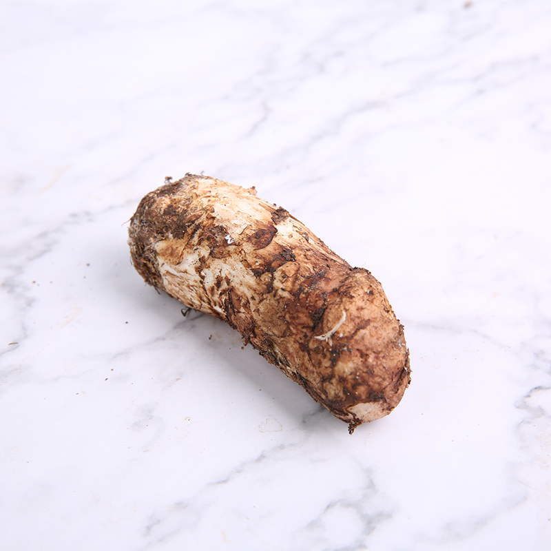 现货新鲜松茸菌500g云南香格里拉特产香磨菇3-5cm养生菌汤包