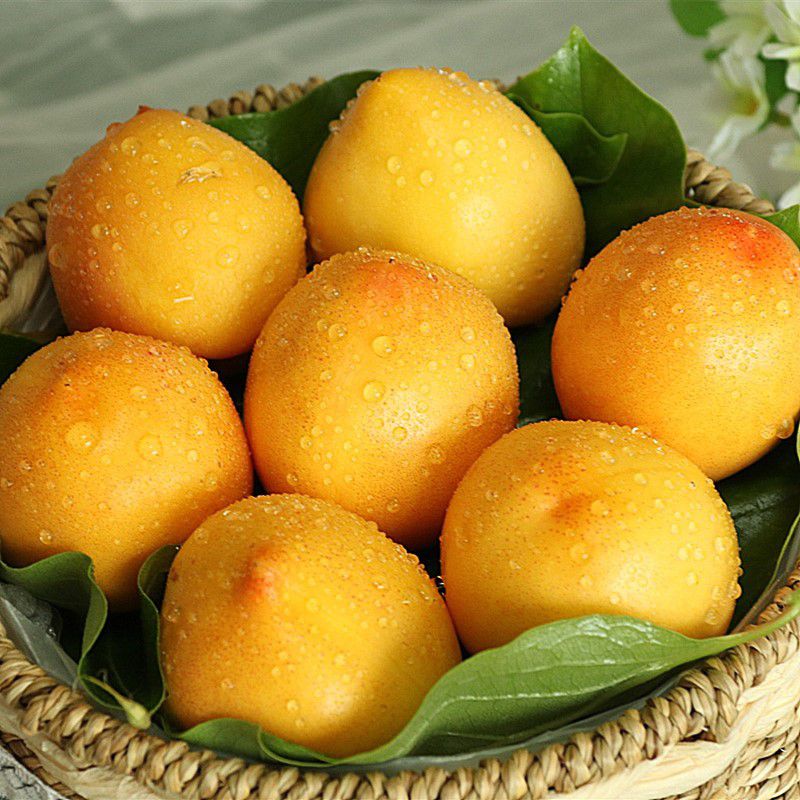 黄金油桃水果新鲜山东蒙阴特产黄油桃应当季整箱1-5斤装 1斤 试吃装