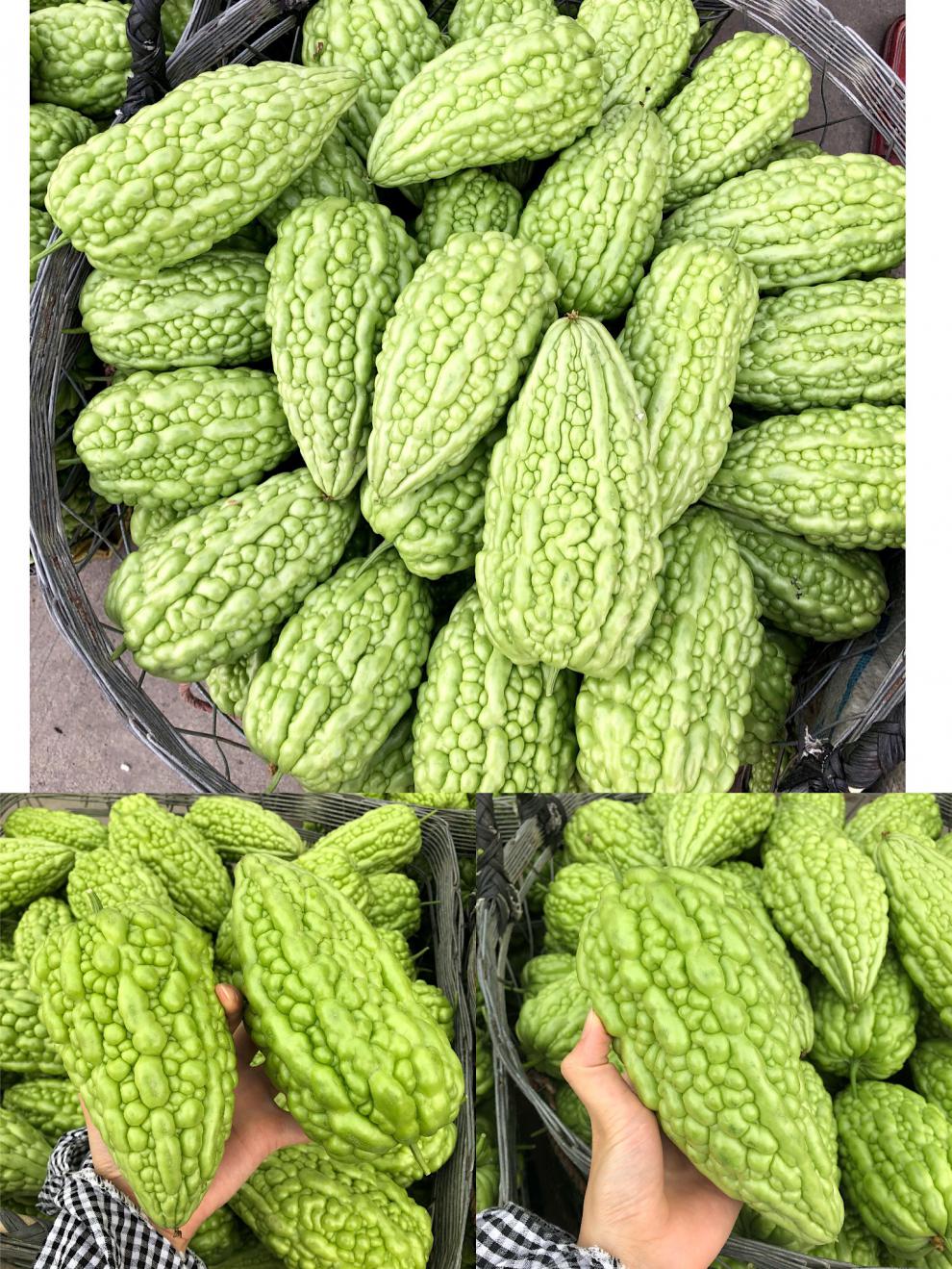 (脆嫩爽口)广东潮汕本地苦瓜 凉瓜 农家自种新鲜特色蔬菜 当天采摘