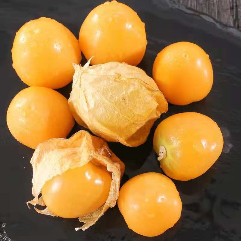 菇娘果黄姑娘果灯笼果洋菇娘东北特产新鲜应季水果大中果整箱 精选1斤