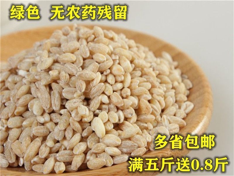 盐城特产苏北五谷杂粮大麦彩子粗粮大麦糁大麦采子大麦米额满大麦采中