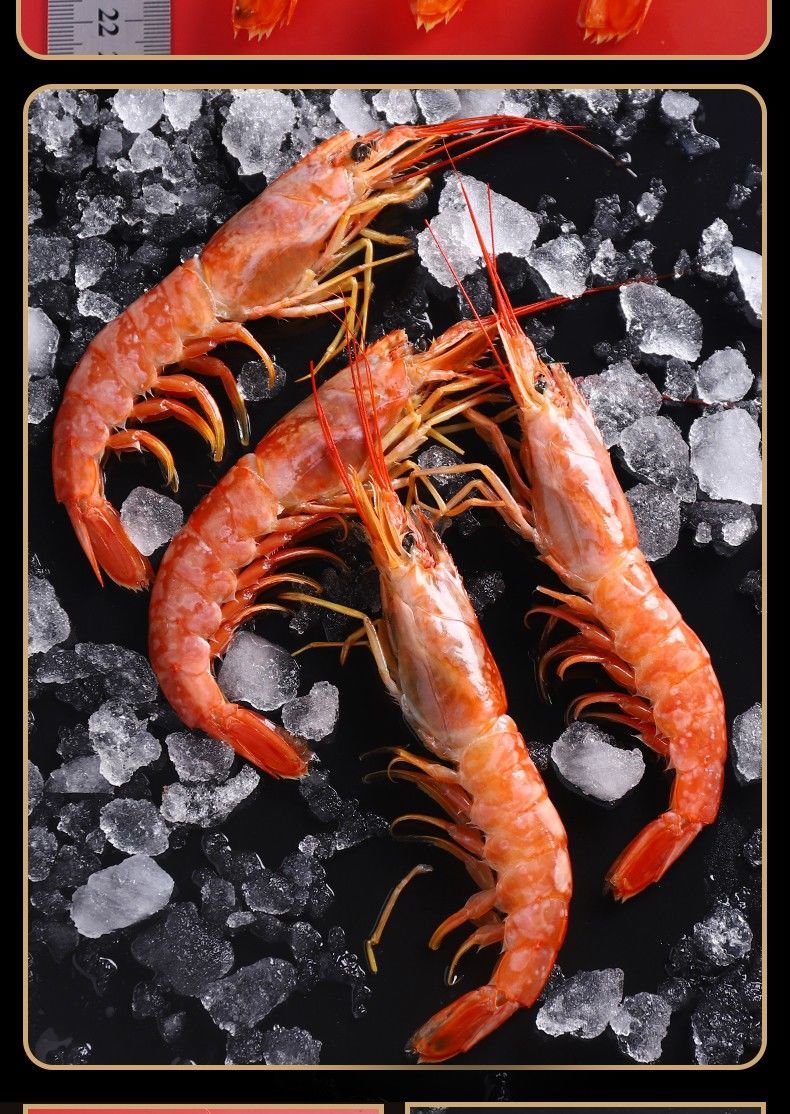 红虾红虾大虾鲜活新鲜冷超大l2红虾四斤盒装1620厘米