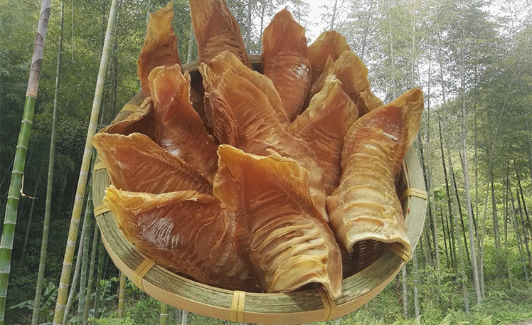 橙伯乐福建特产毛竹笋干500g笋干干货嫩笋尖原味