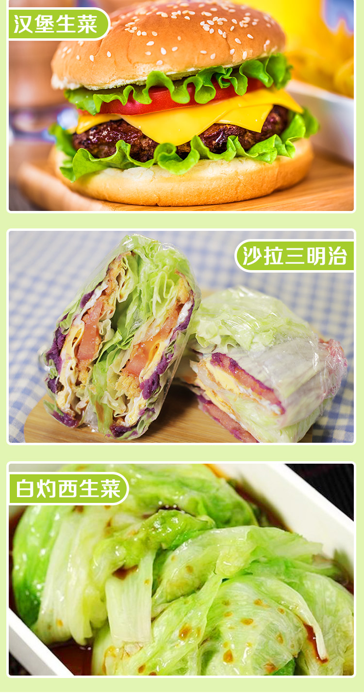 球生菜 5斤 顺丰装新鲜生菜球汉堡生菜专用沙拉蔬菜即食青菜球形生菜