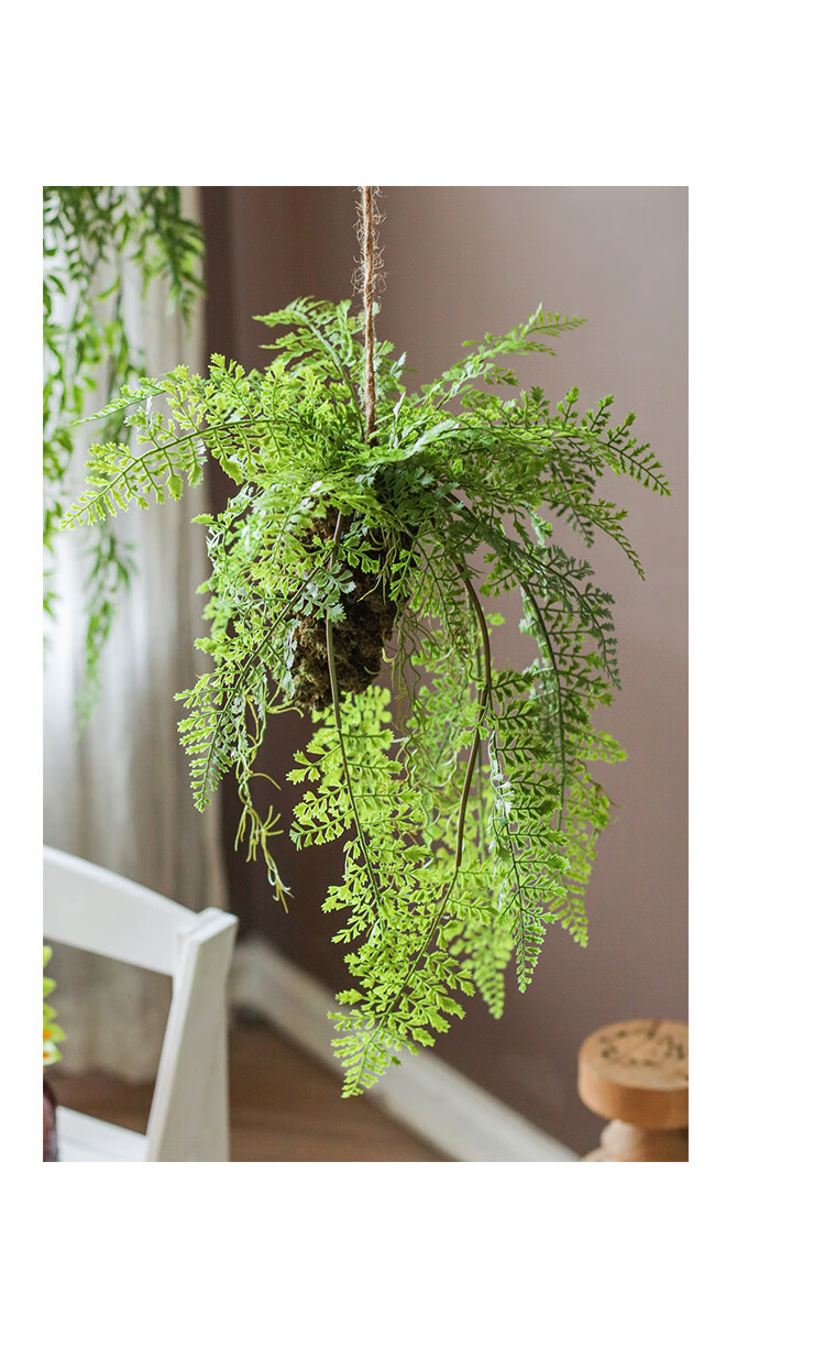 掬涵仿真蕨类植物吊球吊饰空中垂吊挂饰绿植花艺壁挂橱窗装饰森系d款