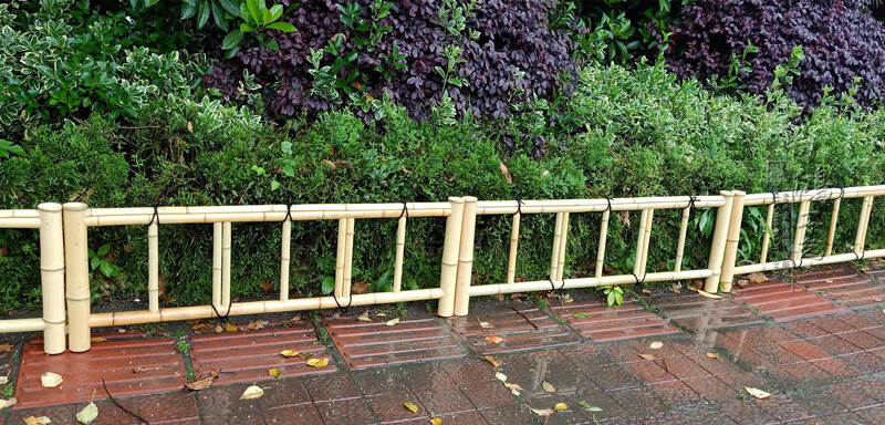 亿万仟竹篱笆紫竹围栏花园栅栏别墅院子装饰全竹矮篱日式清新竹垣防腐
