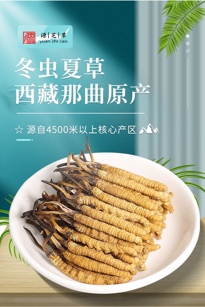 送礼款那曲新鲜冬虫夏草正品西藏特产天然干虫草礼盒装头期干货旗舰店