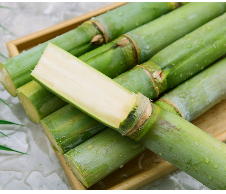 青皮甘蔗现发新鲜水果装当季整箱陶山绿皮甘蔗 9斤【图片 价格 品牌