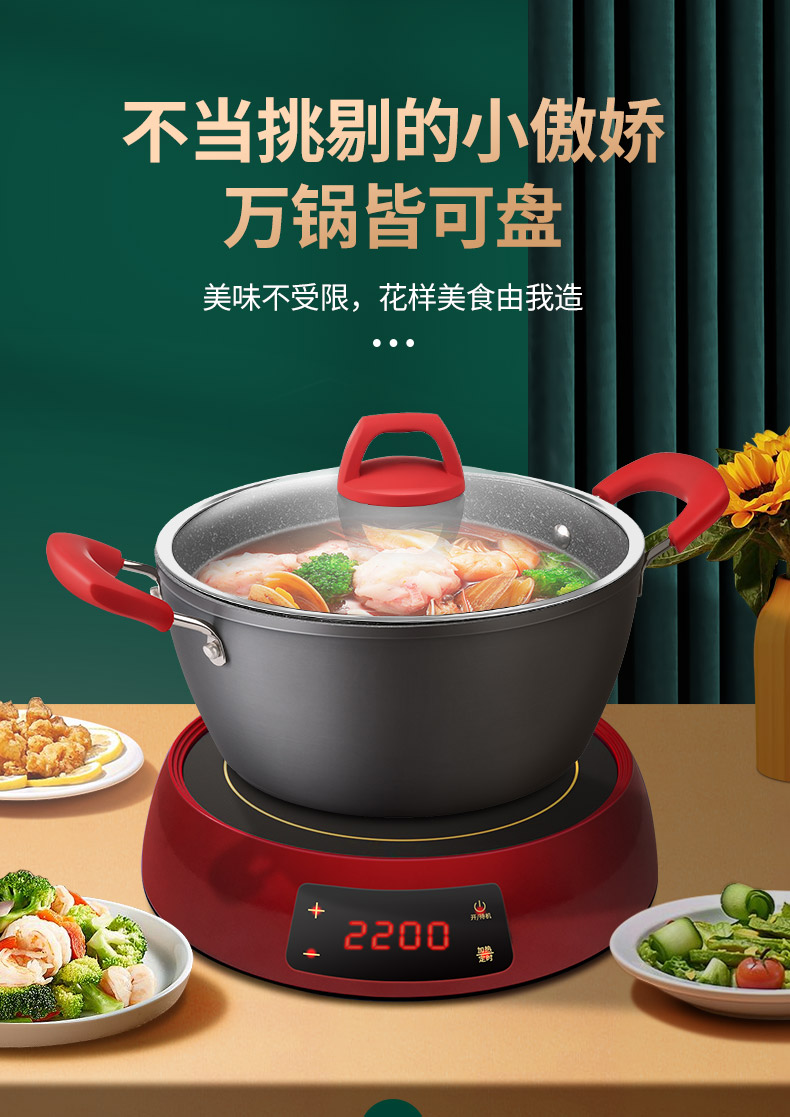 龙力电炒锅铸铁电炒菜炒锅分体式家用多功能电用炒锅一体式电热锅分离