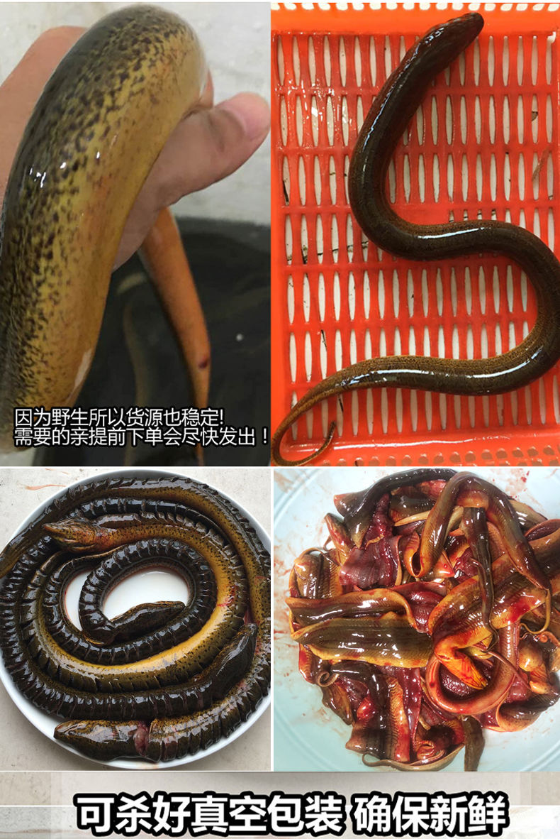 0kg店铺:莫尔加德生鲜官方旗舰店商品编号:10032680319185商品名称