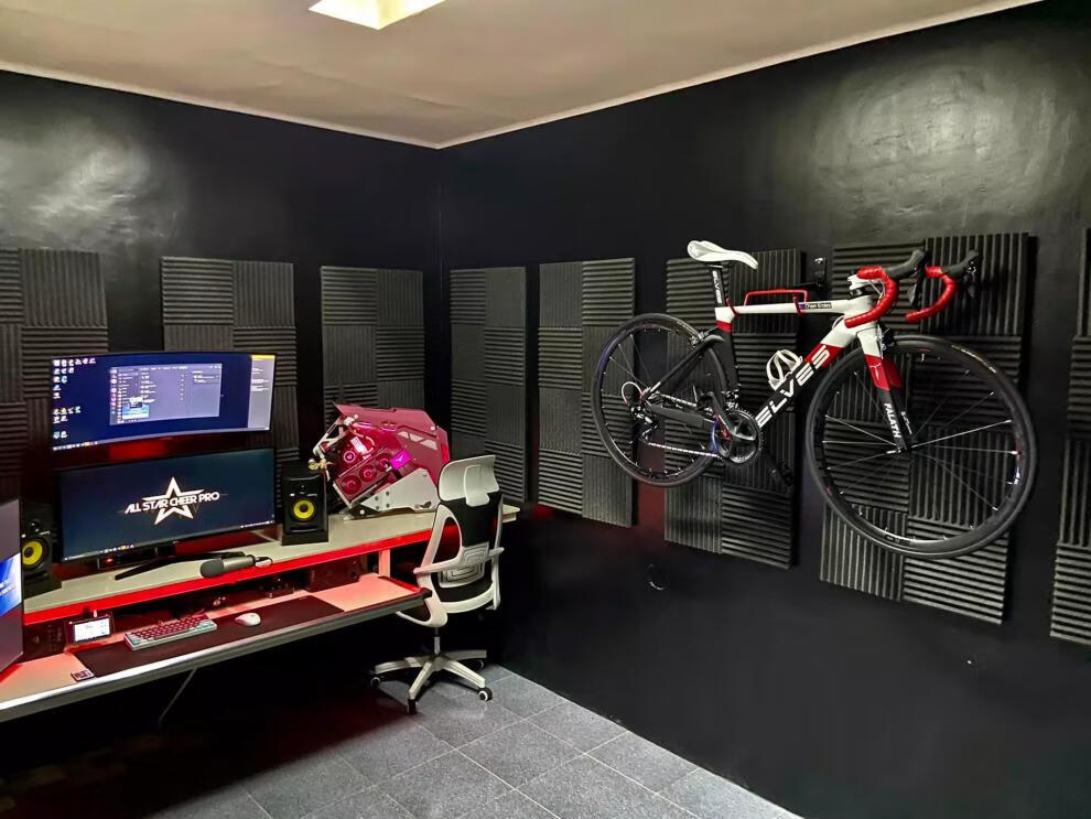 蜜主播(honey anchor)specialized公路车碳纤维同款elves车架精灵车架