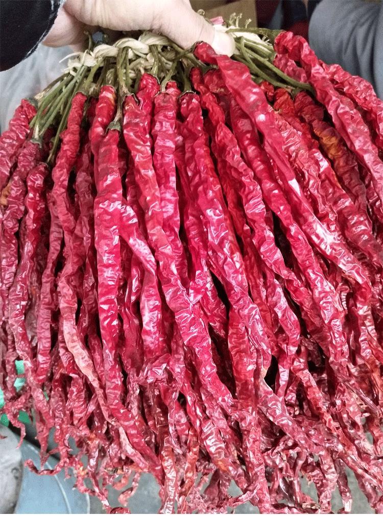 贵州特产皱椒鸡爪辣椒海椒长辣椒特香微辣干辣椒五斤