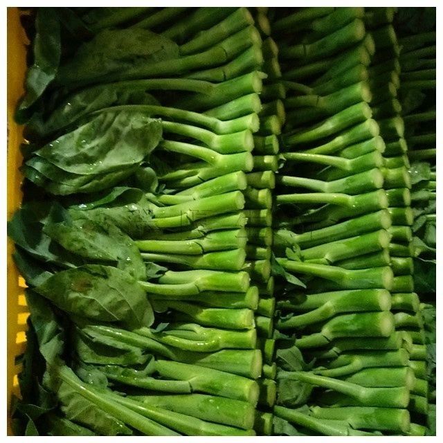 农家新鲜中花 芥兰菜新鲜应季蔬菜 芥兰芥蓝 品质保证好吃下饭菜 泡沫