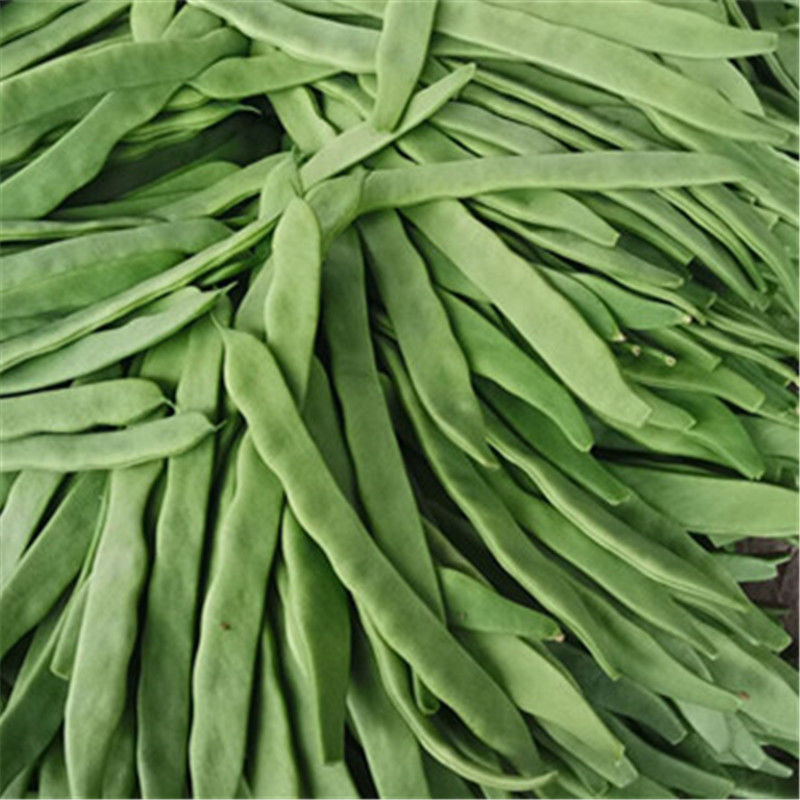 扁豆角无丝豆芸豆四季豆扁豆山东泡沫箱加冰3斤建议炎热地区下单