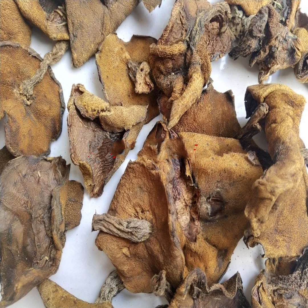 晨臻 山东野生新鲜松菇干货泰山菇蛾子松蛾子山娥子松蘑菇一斤 松蘑菇