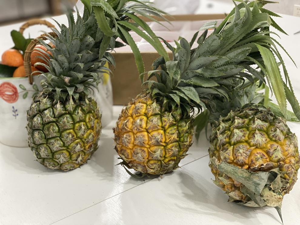 (产地直供/现摘)云南香水小菠萝 5/8斤装 酸甜可口 迷你果小小个菠萝