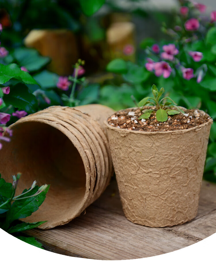 纸浆育苗杯营养盆可降解育苗钵培育盆一次性885营养杯育种盆虎雀aa