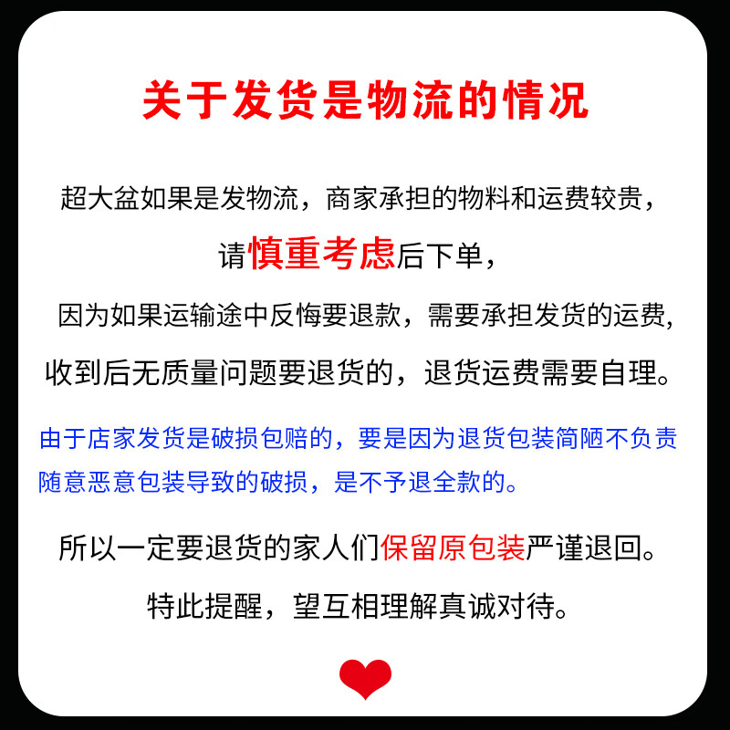 cc41e2bd9041ff7c.jpg