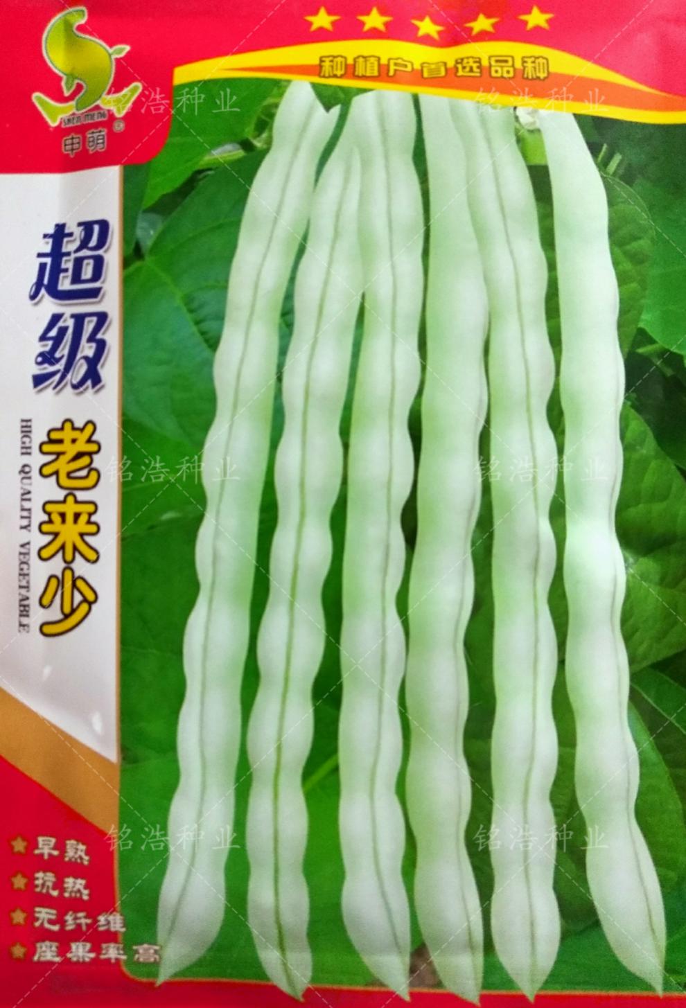 申萌老来少芸豆种子原装100