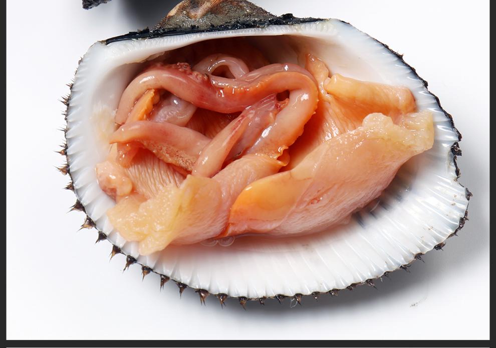 【包活】大连赤贝海鲜水产贝类鲜活新鲜大毛蚶野生毛蛤血蛤日料刺身