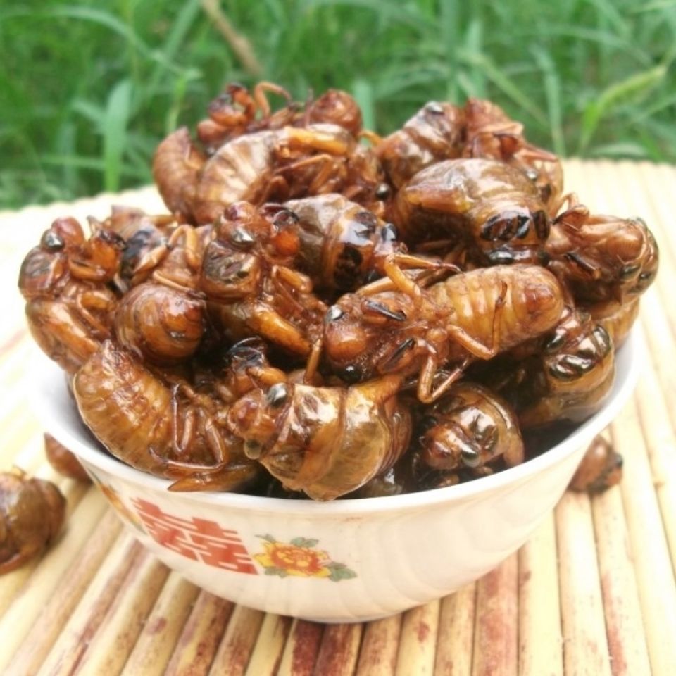 油炸知了猴山东特产炸金蝉新鲜蝉蛹即食唐僧肉香辣知了龟现炸现卖 炸