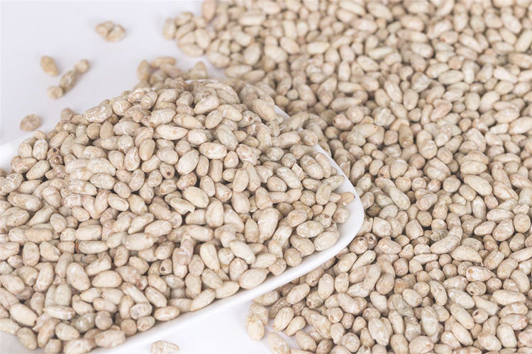 【精选现发】偏方棉花籽棉花籽棉花种子棉花籽种子仁棉花籽儿棉花籽