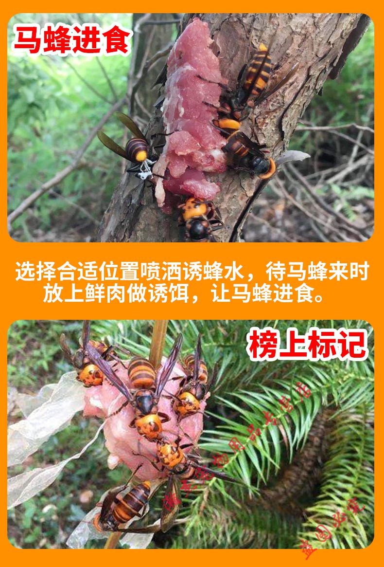 马蜂诱蜂水招蜂水金环红娘胡蜂诱蜂神器器招蜂引蜂专用 金环.红娘专用